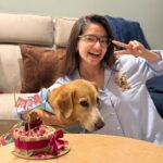 Anushka Sen Instagram - Happy Birthday to you Cindra!! I’m so blessed to have you, my lil angel. You are the biggest example of unconditional love. I am so grateful to have you my lil baby sis, you make everything so special and just even your adorable presence makes my heart happy. I love you so much. 🥹🐶🧿🤗