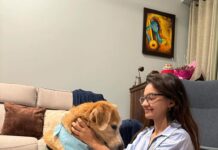 Anushka Sen Instagram - Happy Birthday to you Cindra!! I’m so blessed to have you, my lil angel. You are the biggest example of unconditional love. I am so grateful to have you my lil baby sis, you make everything so special and just even your adorable presence makes my heart happy. I love you so much. 🥹🐶🧿🤗