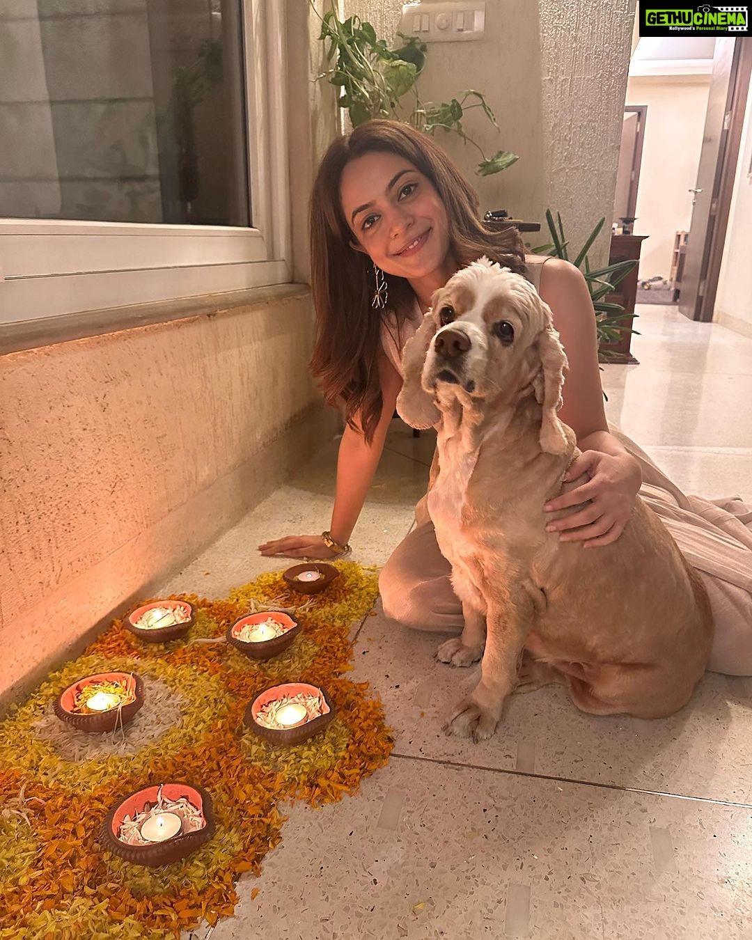 Anya Singh Instagram - Happy happy 🪔 Peace, love & prosperity to all✨🧿