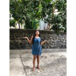 Archana Prajapati Instagram - A day with nature, far away from city's hustle. क्या आपको आम 🥭 पसंद है ? #delicious #n #organic #mangogirls #instafood #mangolassi #nature #mangomadness #sweet #summervibes #staysafe #archanaprajapti