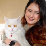 Arishfa Khan Instagram - My babies❤️🐾 #catsofinstagram Cats name : oreo, mowgli, mimi and lily 💕