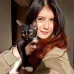 Arishfa Khan Instagram - My babies❤️🐾 #catsofinstagram Cats name : oreo, mowgli, mimi and lily 💕