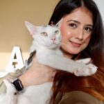 Arishfa Khan Instagram - My babies❤️🐾 #catsofinstagram Cats name : oreo, mowgli, mimi and lily 💕