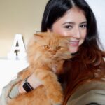 Arishfa Khan Instagram - My babies❤️🐾 #catsofinstagram Cats name : oreo, mowgli, mimi and lily 💕
