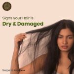 Avani Modi Instagram - One stop solution for dry and damaged hair @karmaterra.official hair oil nourishes and strengthens your hair @karmaterra.official @everyoneisanmol @manishashekharasthana @amitasthanaa.facebook #haircare #avanimodiofficial #avanimodi #picoftheday #picture #instagood #instadaily #girls #igers #beauty #fashion #style