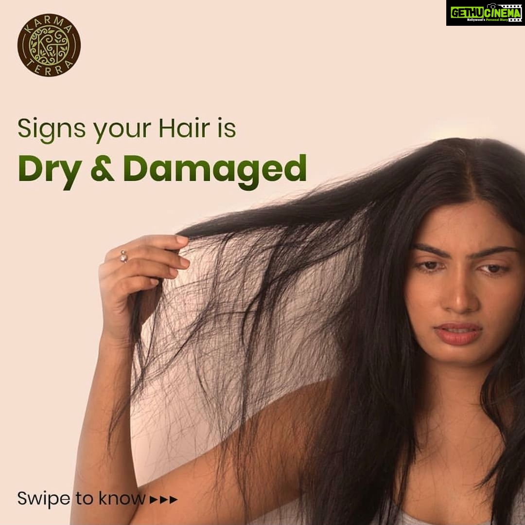 Avani Modi Instagram - One stop solution for dry and damaged hair @karmaterra.official hair oil nourishes and strengthens your hair @karmaterra.official @everyoneisanmol @manishashekharasthana @amitasthanaa.facebook #haircare #avanimodiofficial #avanimodi #picoftheday #picture #instagood #instadaily #girls #igers #beauty #fashion #style