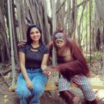 Avanthika Mohan Instagram - I've never met an animal I didn't like, and I can't say the same thing about people 😃 Btw I will always woof you 💛 Swipe to see more pictures of me with the hunk #orangutans #youaregorgeous #animallove #picoftheday #zoo #animallovers #photo #photogram #tbt Africa Alive Zoo