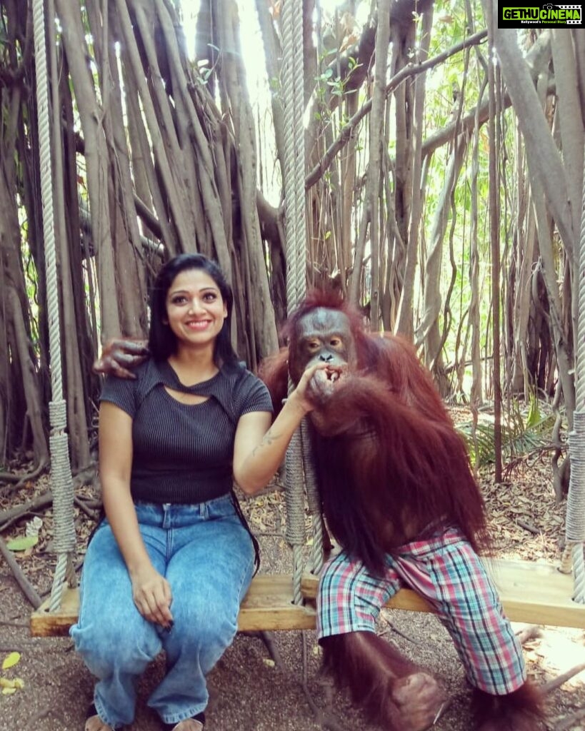 Avanthika Mohan Instagram - I've never met an animal I didn't like, and I can't say the same thing about people 😃 Btw I will always woof you 💛 Swipe to see more pictures of me with the hunk #orangutans #youaregorgeous #animallove #picoftheday #zoo #animallovers #photo #photogram #tbt Africa Alive Zoo