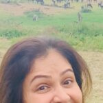 Ayesha Jhulka Instagram - Be wild in the wild … complete de stress 🦓 🐅🐗 #wildlife #wild #wildanimals #wildnature #experience #unreal #umimaginable #unforgettable #beautiful #aj #lifetime #lifetimeexperience #instagram #instagood #instalike #instadaily #monday #mondayvibes #mondays #kenya
