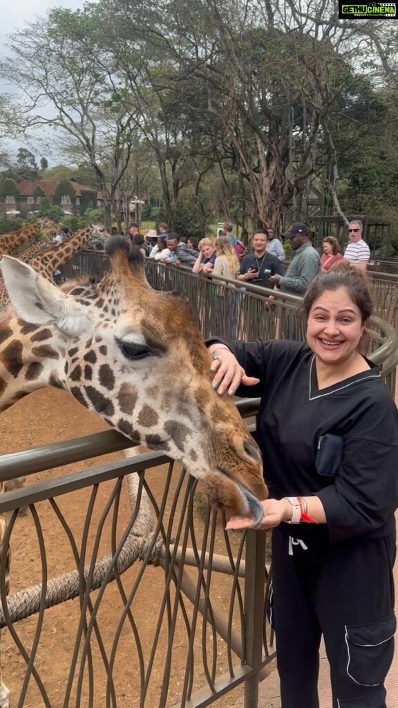 Ayesha Jhulka Instagram - Enjoy the little things, for one day you may look back and realise they were the big things. #enjoy #littlethings #fun #joy #joyful #raremoments #animals #giraffe #pleasure #big #exclusive #aj #holiday #instagood #instagram #instadaily #feed #monday