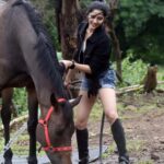 Ayli Ghiya Instagram - A horse doesn't care how much you know until he knows how much you care @aylighiya ❤️