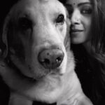Barkha Bisht Sengupta Instagram – MOJO 💔 To lose a dog is like losing the purest form of love !!! We will miss u !! 
#pet #petlovers #doglover #dogparent