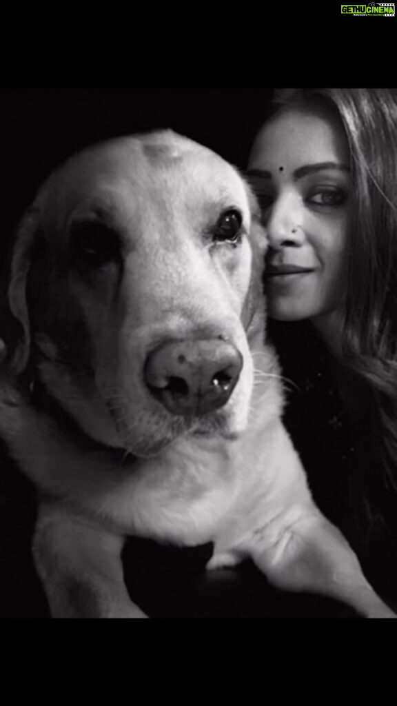 Barkha Bisht Sengupta Instagram - MOJO 💔 To lose a dog is like losing the purest form of love !!! We will miss u !! #pet #petlovers #doglover #dogparent