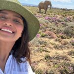 Bhakti Kubavat Instagram - Africa 🐘🦒🦏🐴