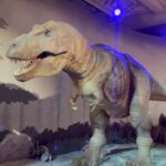 Bhakti Kubavat Instagram - 🦒🦖🦕 Natural History Museum