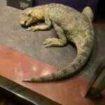 Bhakti Kubavat Instagram - 🦒🦖🦕 Natural History Museum