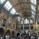 Bhakti Kubavat Instagram - 🦒🦖🦕 Natural History Museum