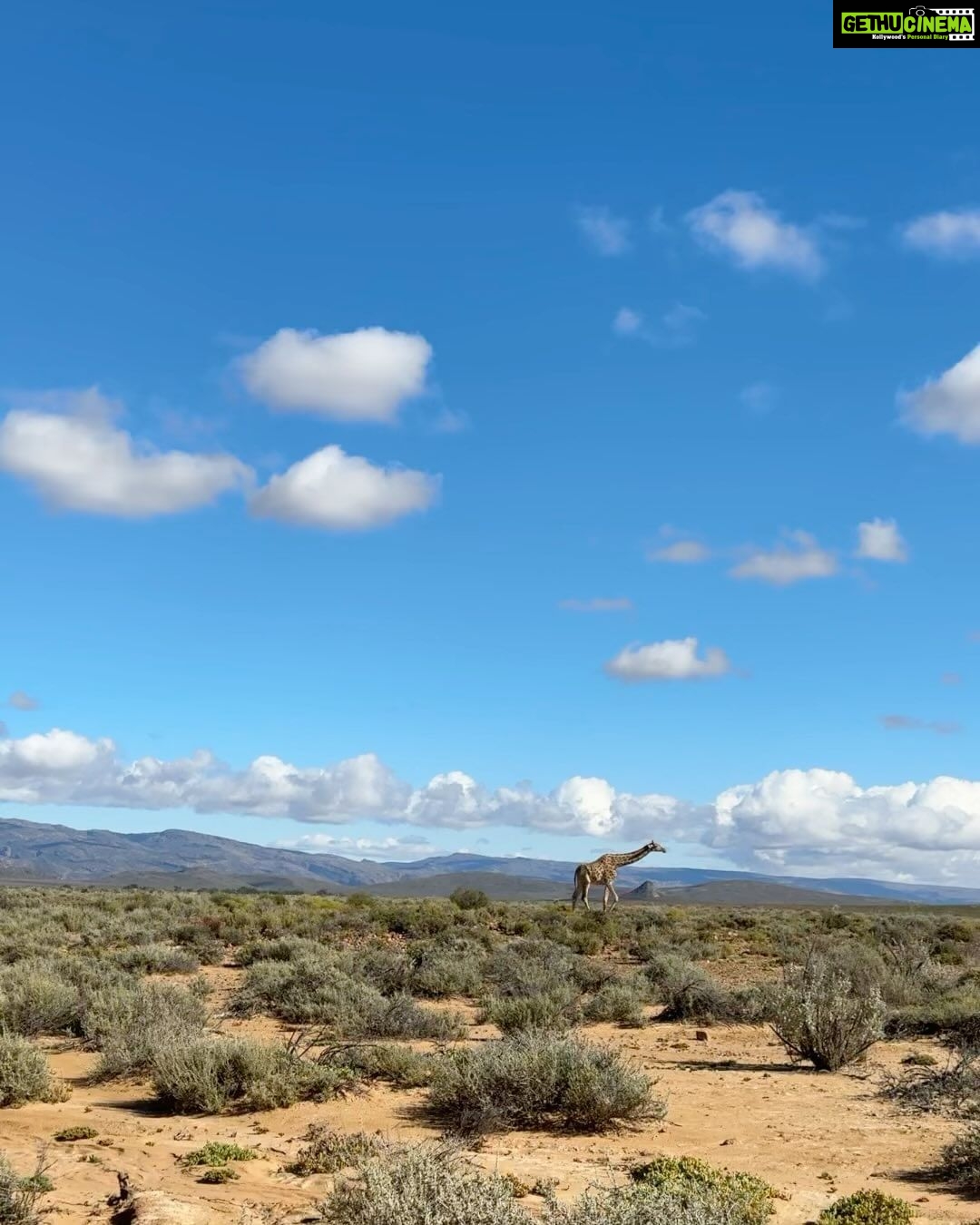 Bhakti Kubavat Instagram - Met 🦒Melman & Zubi🐘 South Africa