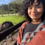 Bhakti Kubavat Instagram - 🇿🇦 Cape of Good Hope Reserve