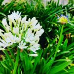 Bhamini Oza Instagram –