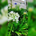 Bhamini Oza Instagram - Ooty oh Ooty !!