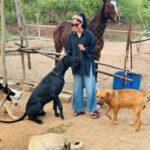 Bindu Madhavi Instagram - Grace and power 🐎 #sunsetsgram