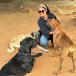 Bindu Madhavi Instagram - Grace and power 🐎 #sunsetsgram