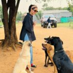 Bindu Madhavi Instagram - Grace and power 🐎 #sunsetsgram