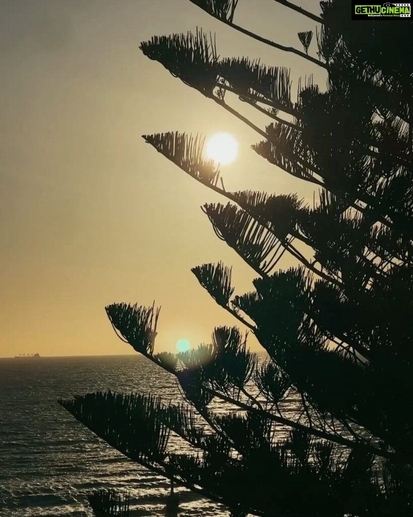 Chandrika Ravi Instagram - 🤍🤍🤍 Perth, Western Australia