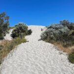 Chandrika Ravi Instagram - Slice of heaven. Perth, Western Australia