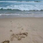 Chandrika Ravi Instagram - Lessons from the ocean Perth, Western Australia