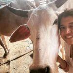 Chitra Shukla Instagram - Happysunday everyone one😊Morning meeting with my Rani is full of love♥️ #goumata #गौमाता #chitrashukla #happysunday 🌝🌨️ #swipeleft⬅️ #cowlover #cow #ranicow #mycow