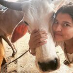Chitra Shukla Instagram - Happysunday everyone one😊Morning meeting with my Rani is full of love♥️ #goumata #गौमाता #chitrashukla #happysunday 🌝🌨️ #swipeleft⬅️ #cowlover #cow #ranicow #mycow