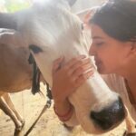 Chitra Shukla Instagram - Happysunday everyone one😊Morning meeting with my Rani is full of love♥️ #goumata #गौमाता #chitrashukla #happysunday 🌝🌨️ #swipeleft⬅️ #cowlover #cow #ranicow #mycow