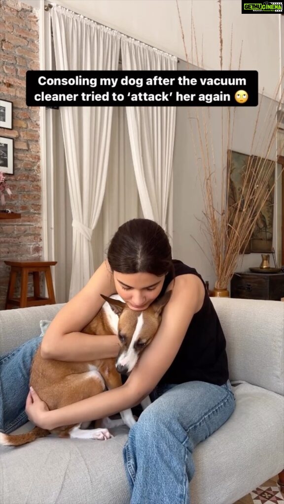 Diana Penty Instagram - Just another day being a dog mum 😬 #VickyAndD #Dogs #AdoptDontShop