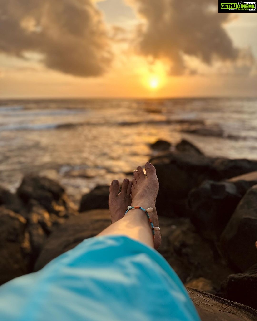 Dimple Biscuitwala Instagram - Sunflowers π» to Sunset π«Άπ» . #goadairies #beachvibes #sunsetlover #holidayvibes #aesthetics #dimplebiscuitwala Goa