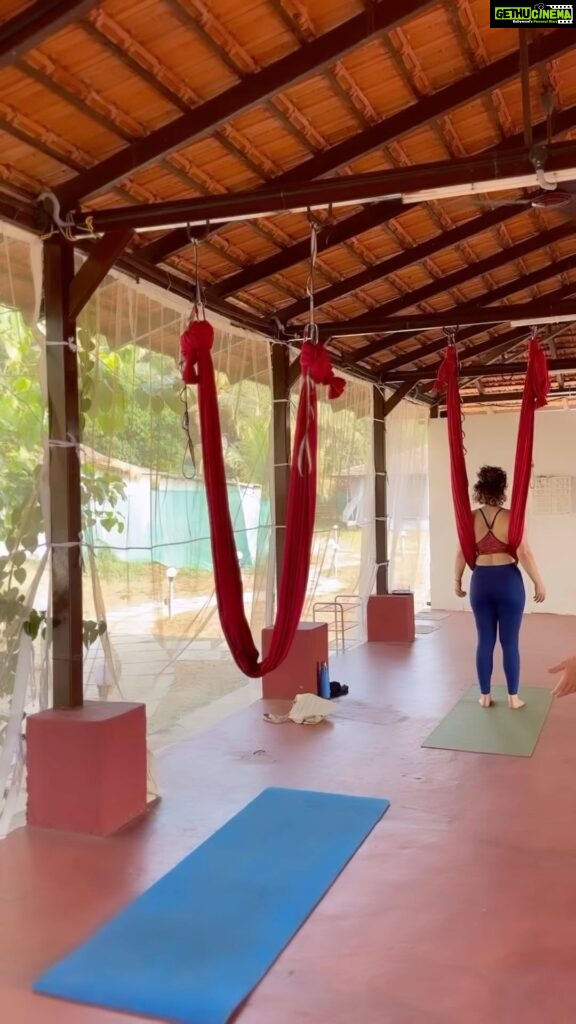 Disha Pandey Instagram - Aerial Yoga Flow - Beginner