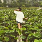 Disha Pandey Instagram – 🇻🇳 Mua Caves – Hang Múa Official