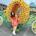 Disha Pandey Instagram - 🇻🇳 Bana Hills, Vietnam