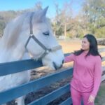 Disha Pandey Instagram - 🐴