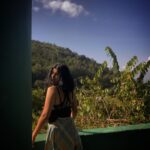 Divya Prabha Instagram - 🌳