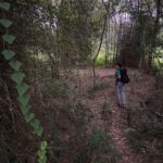 Divya Prabha Instagram – 🍂🍃 Somewhere On Earth :)