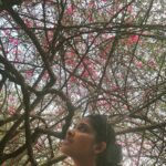 Divya Prabha Instagram – 🍃🌸

📷 @see____.____saw