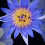 Divya Prabha Instagram – #capturedlastweek