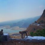 Divya Prabha Instagram –
