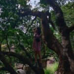 Divya Prabha Instagram – 🌳

📸  @thomas.hakim Ratnagiri