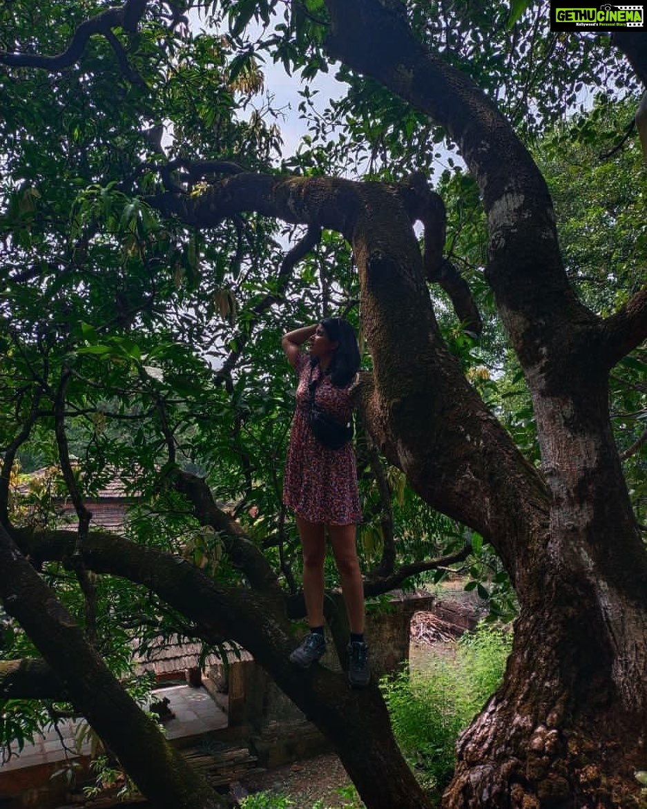 Divya Prabha - 10.2K Likes - 🌳
📸 @thomas.hakim