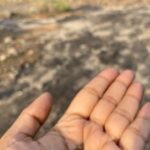 Divya Prabha Instagram – ന്റുപ്പൂപ്പാക്കൊരാനേണ്ടാർന്ന്…..

#bestofaugust2023 

#antlion