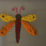 Divya Prabha Instagram – Onam fly 🧚🏾