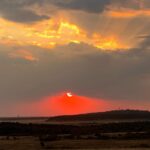 Elena Roxana Maria Fernandes Instagram - A surreal experience courtesy of @atuaenkopafrica #africa #kenya #wildlife #sunset #masaimara #elephants #masai #wilderness
